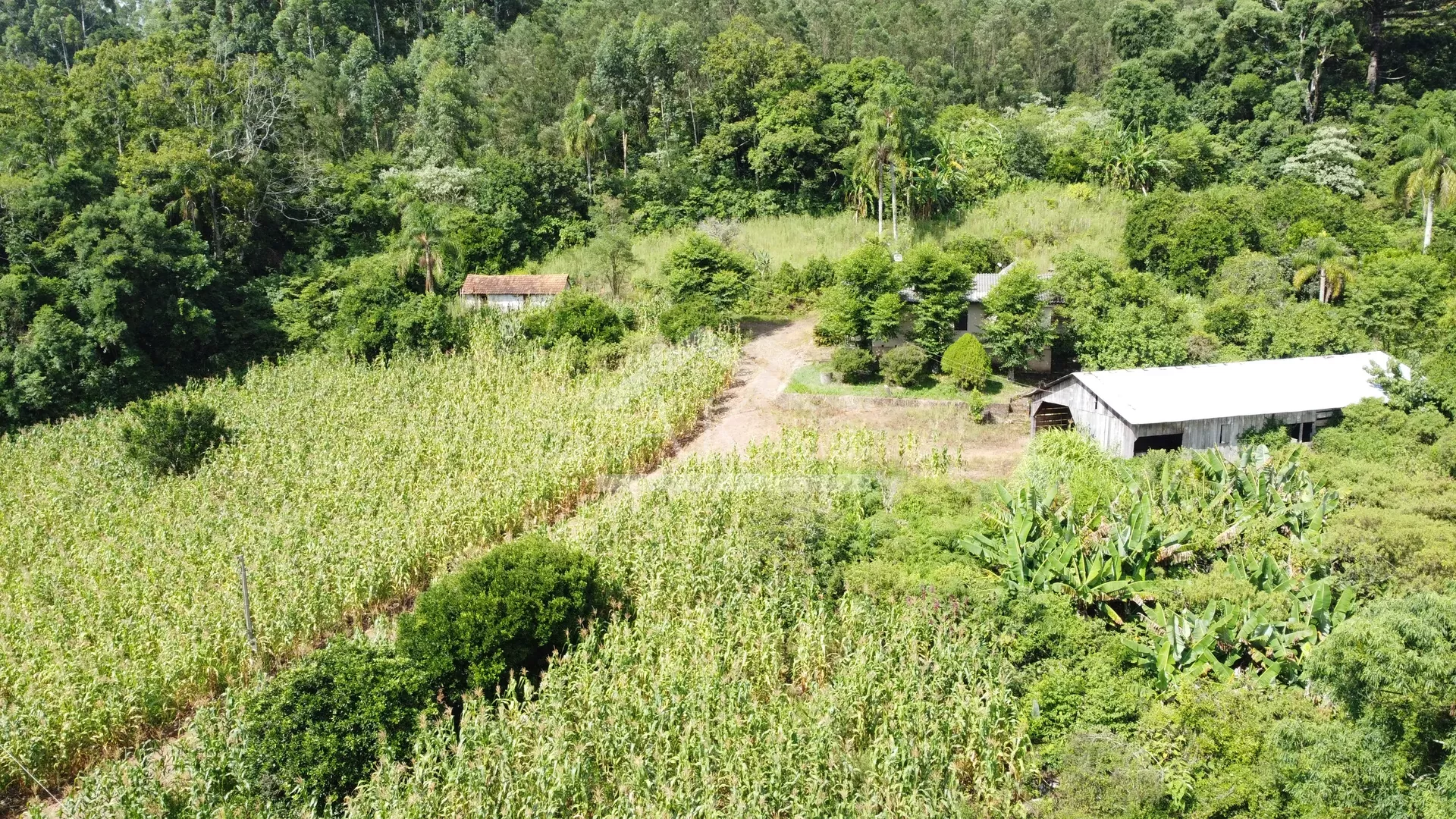 Sítio com açude à venda em Morro Reuter - RS