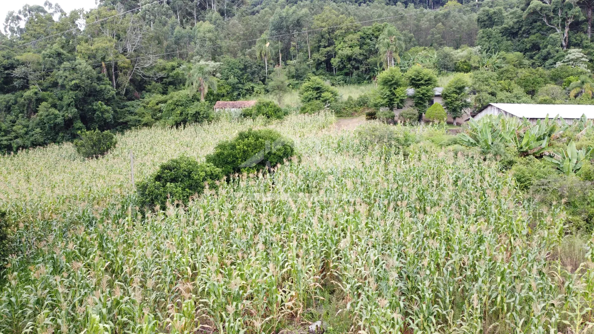 Sítio com açude à venda em Morro Reuter - RS