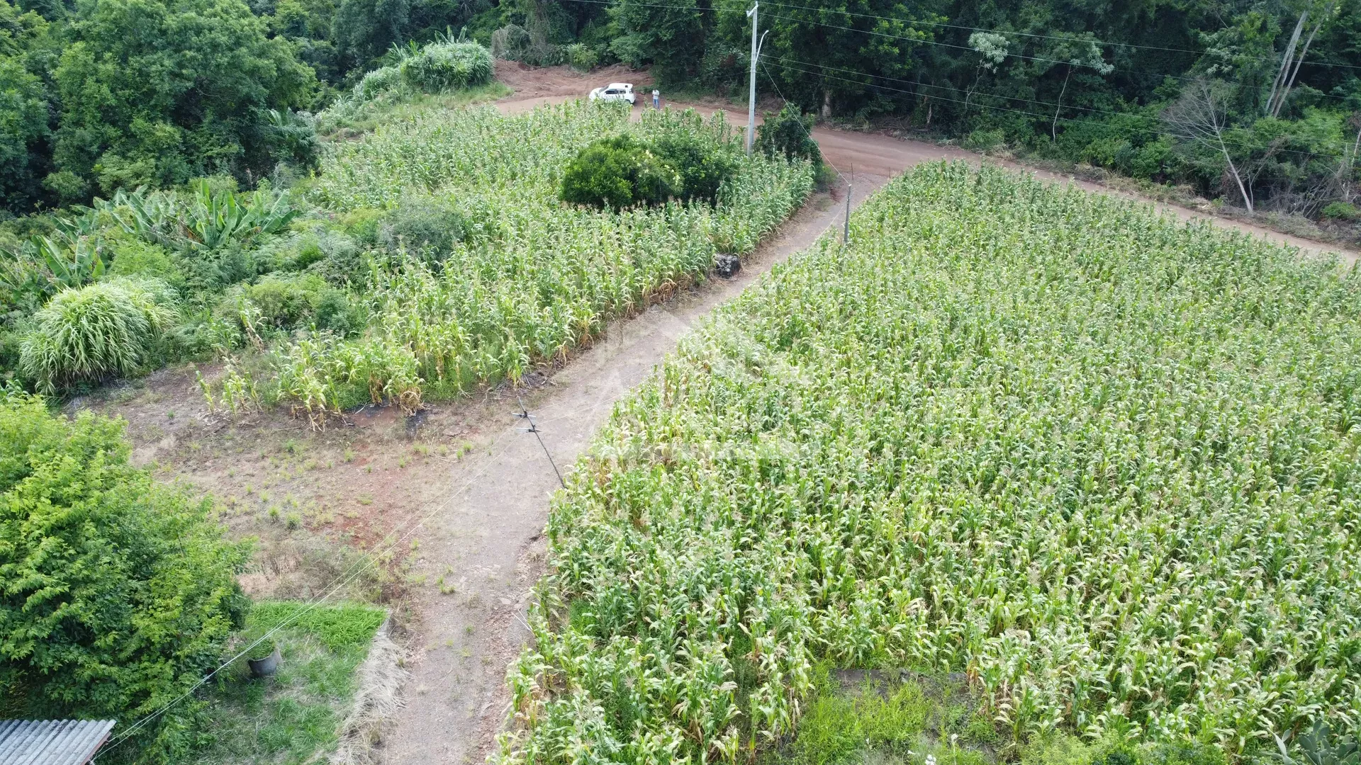 Sítio com açude à venda em Morro Reuter - RS