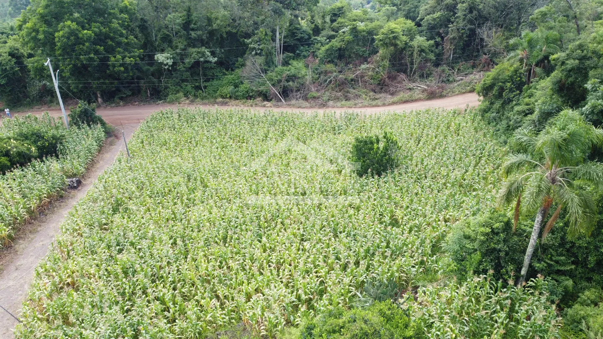 Sítio com açude à venda em Morro Reuter - RS