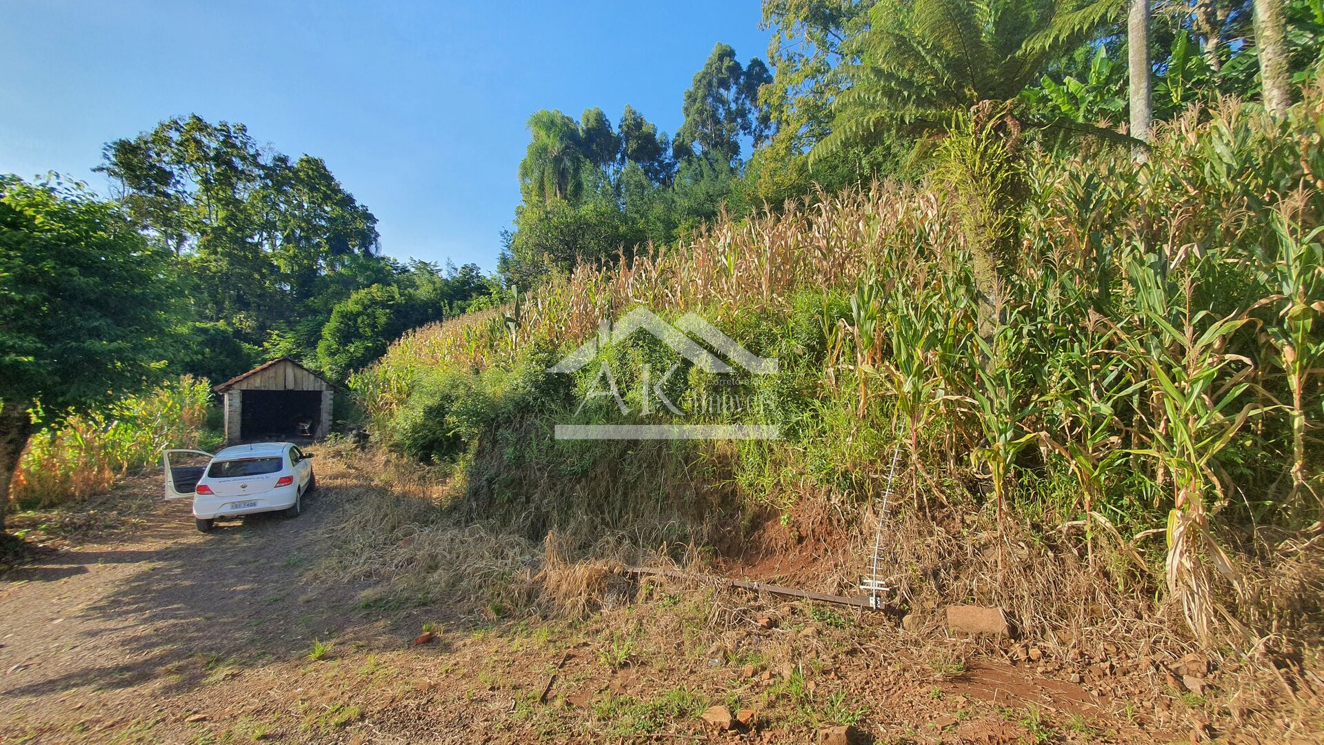 Sítio com açude à venda em Morro Reuter - RS