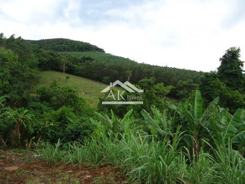 Sítio com açude à venda em Morro Reuter - RS