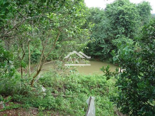 Sítio com açude à venda em Morro Reuter - RS