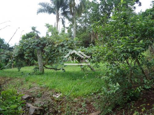 Sítio com açude à venda em Morro Reuter - RS