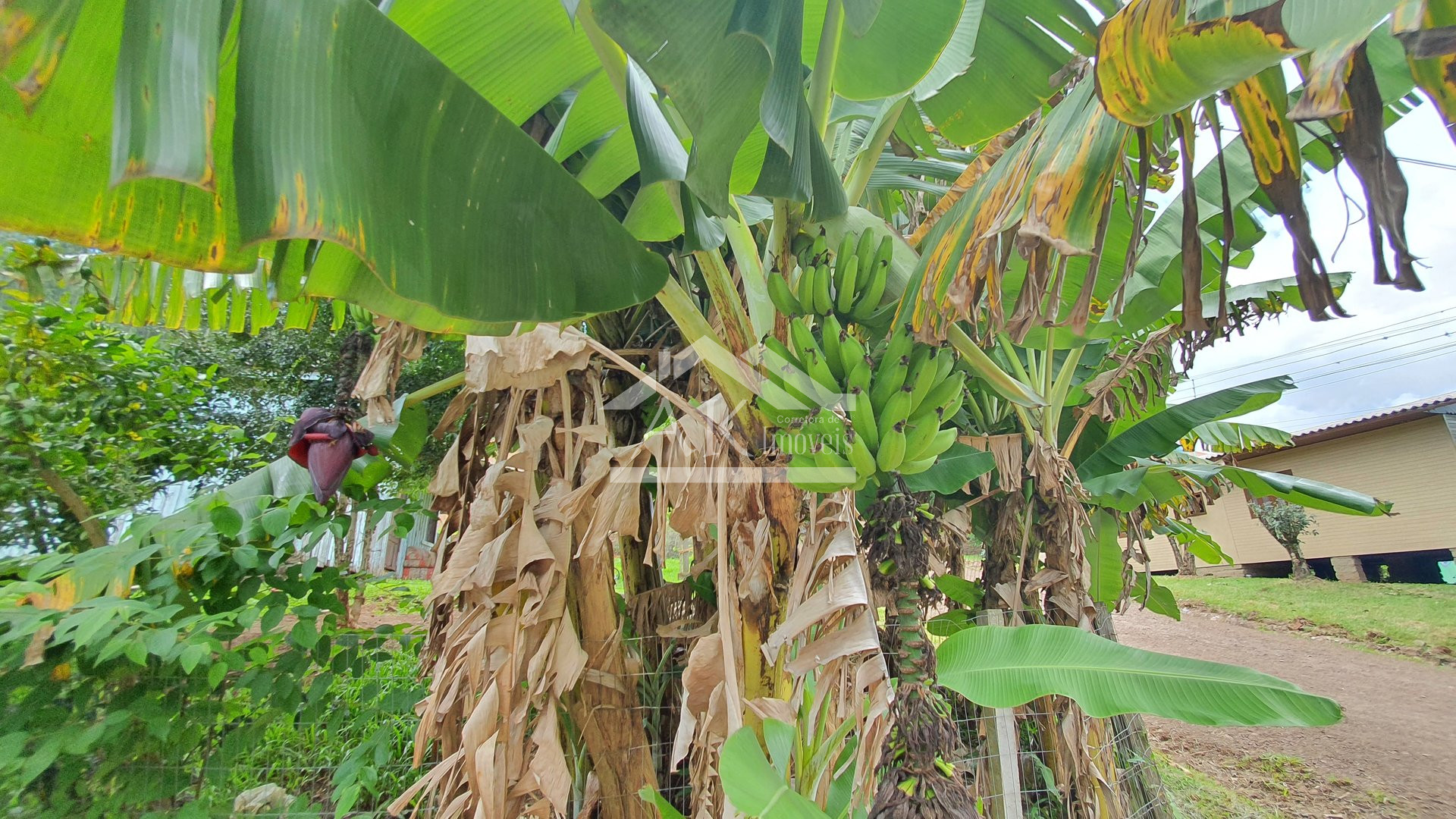 Terreno de esquina à venda na cidade de Picada Café na Serra Gaúcha