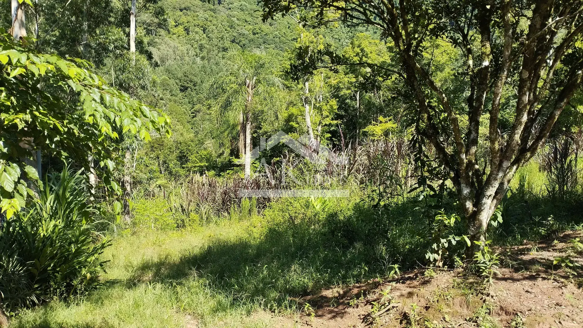 Sítio com riacho à venda em Picada Café na Serra Gaúcha