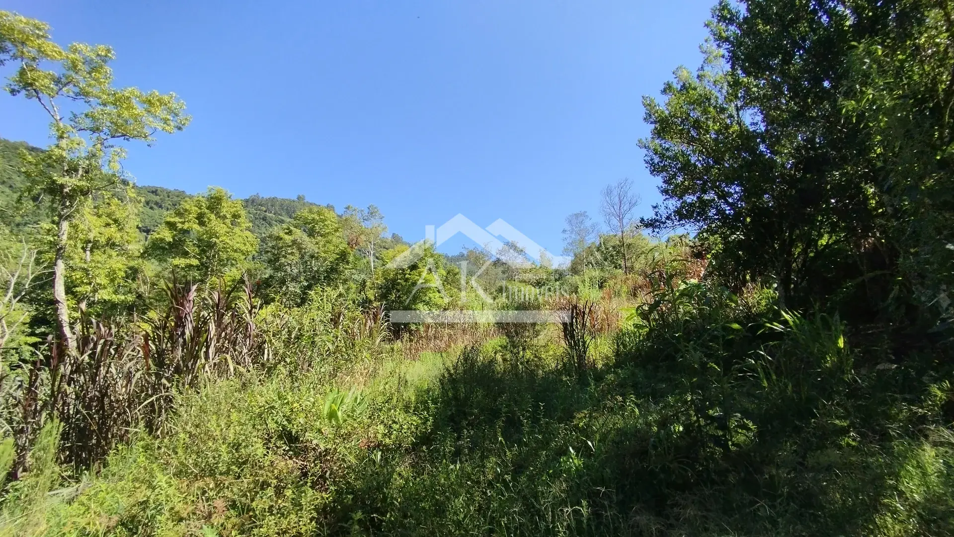 Sítio com riacho à venda em Picada Café na Serra Gaúcha
