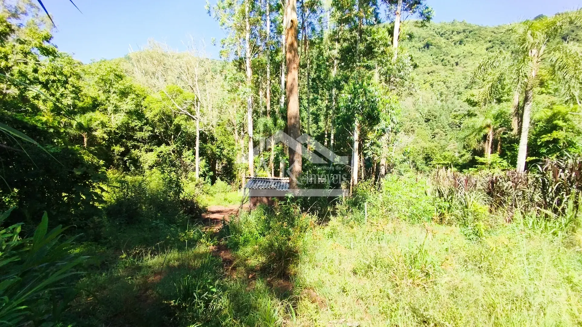 Sítio com riacho à venda em Picada Café na Serra Gaúcha
