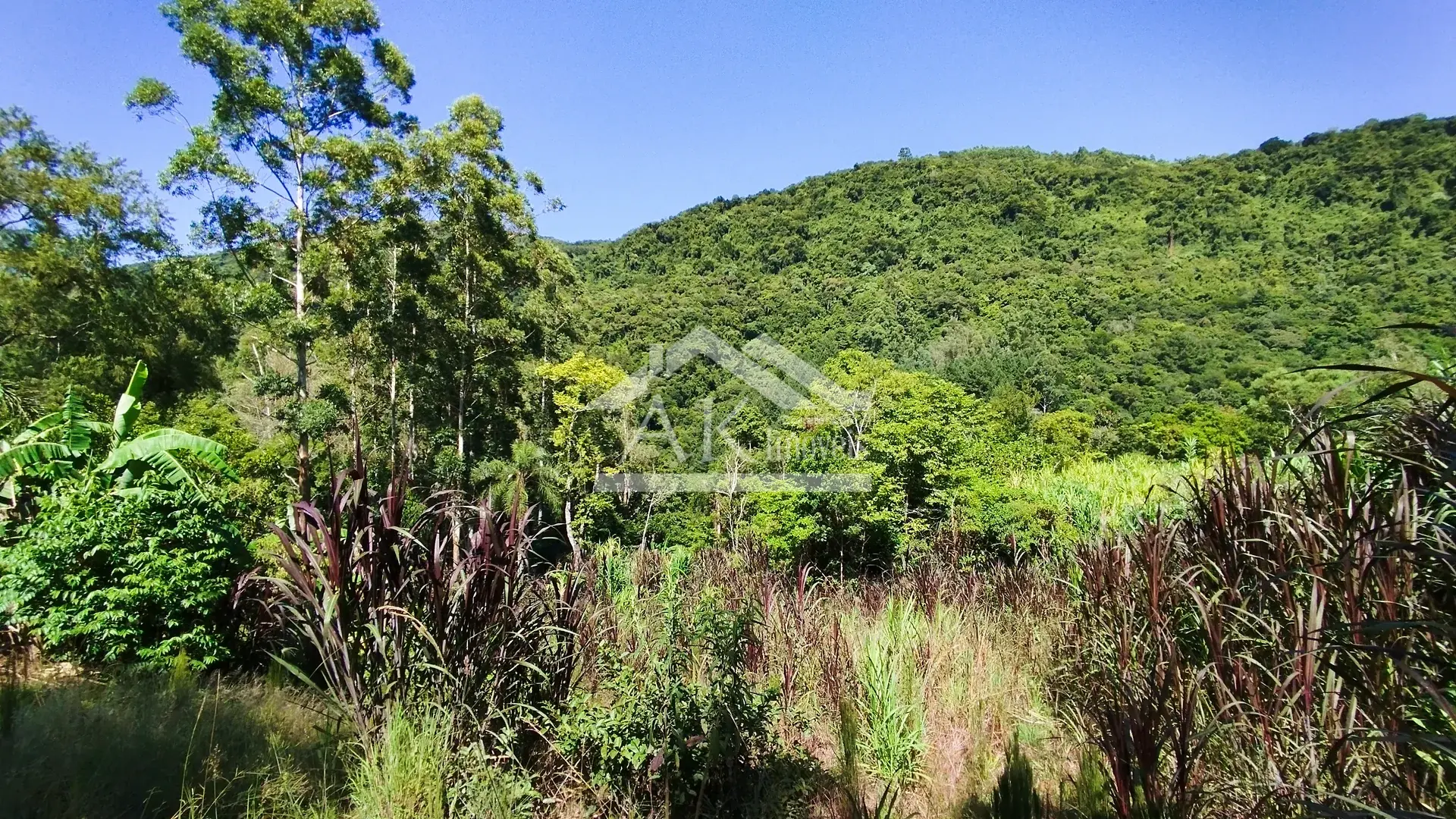 Sítio com riacho à venda em Picada Café na Serra Gaúcha