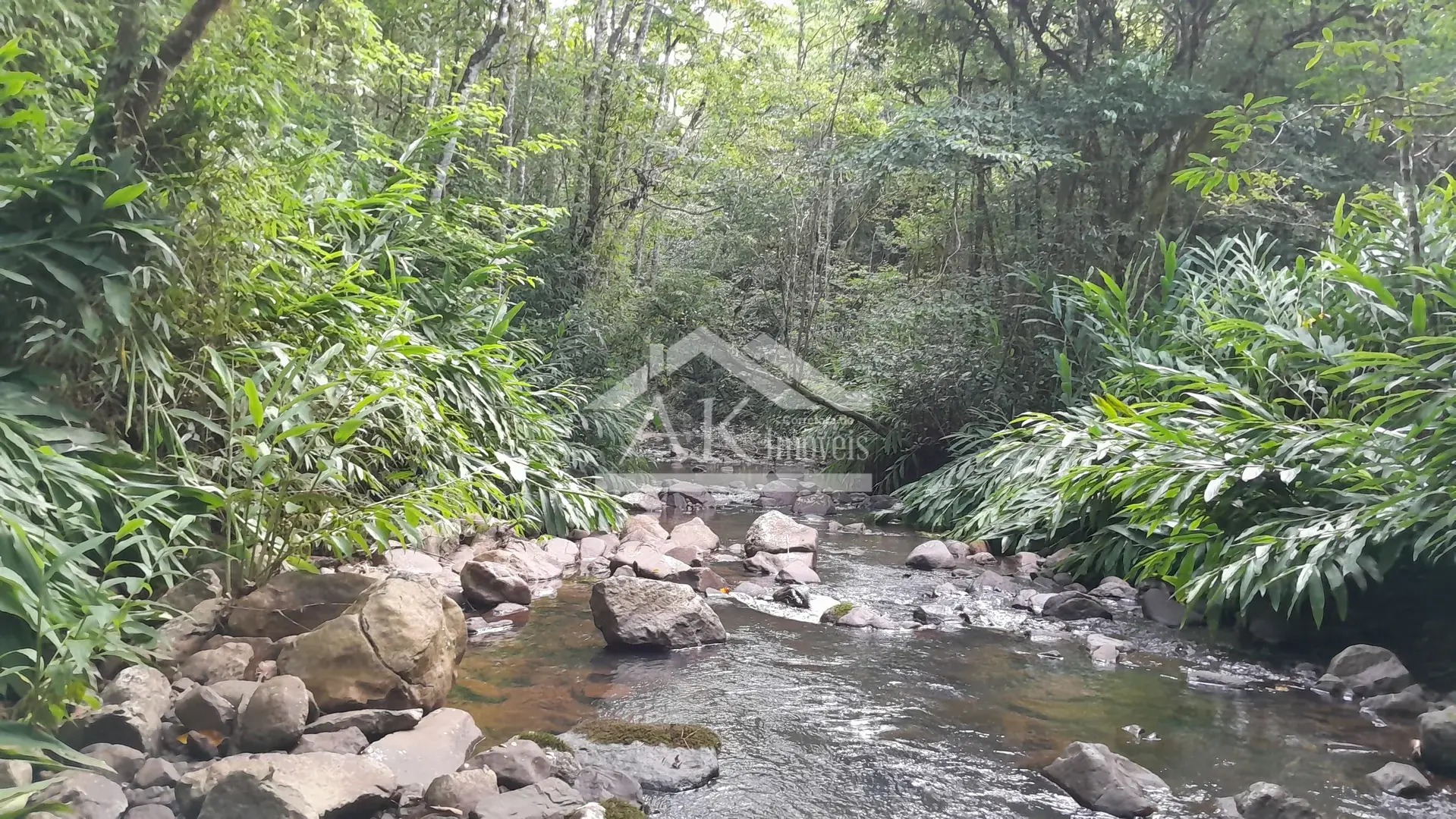 Sítio com riacho à venda em Picada Café na Serra Gaúcha