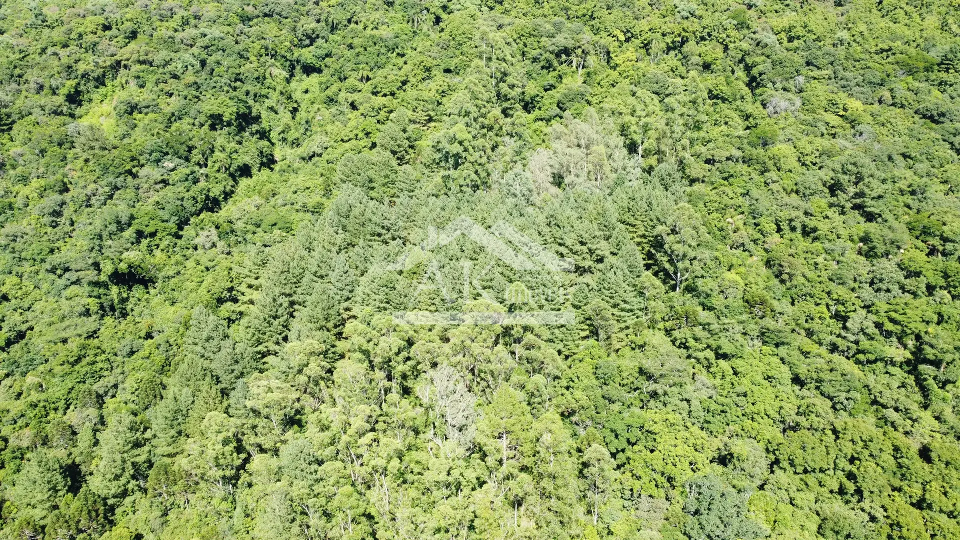 Sítio com riacho à venda em Picada Café na Serra Gaúcha