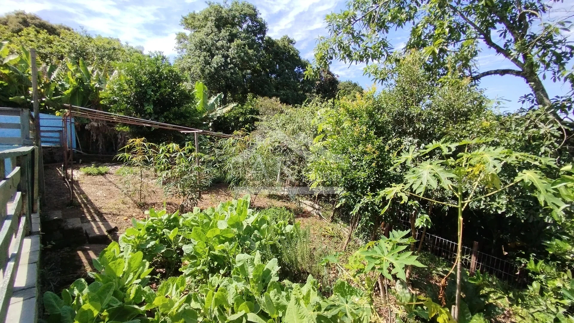 Imagens do imóveis Casa arborizada com vista panorâmica à venda em Dois Irmãos, RS