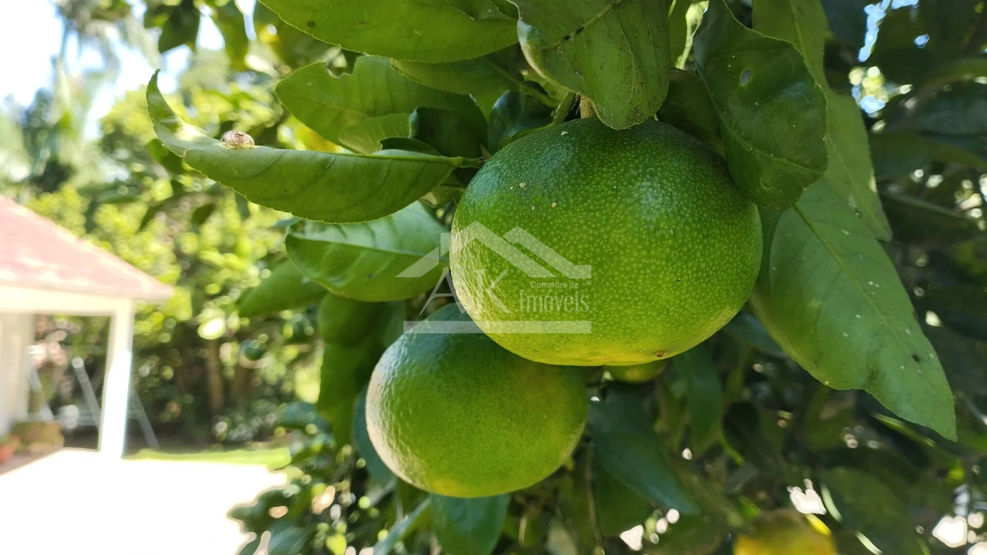 Imagens do imóveis Casa arborizada com vista panorâmica à venda em Dois Irmãos, RS