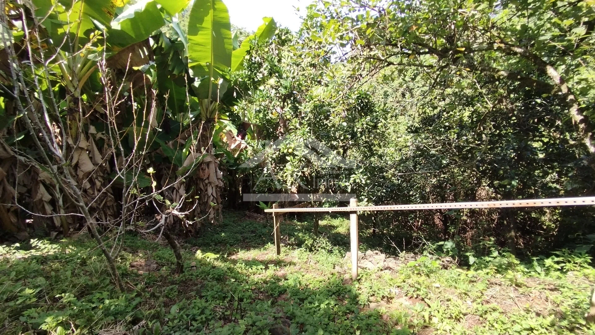 Imagens do imóveis Casa arborizada com vista panorâmica à venda em Dois Irmãos, RS