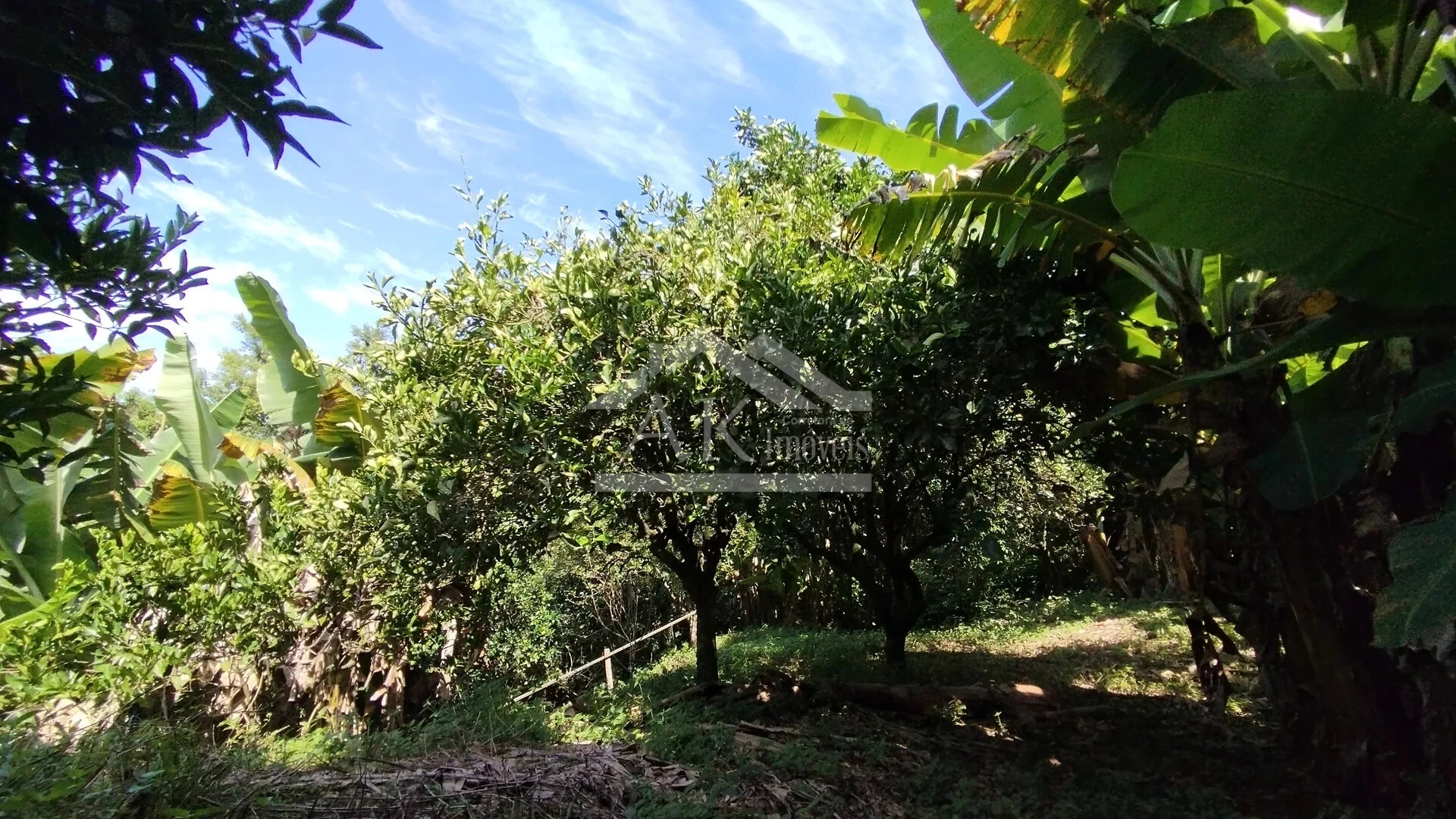 Imagens do imóveis Casa arborizada com vista panorâmica à venda em Dois Irmãos, RS