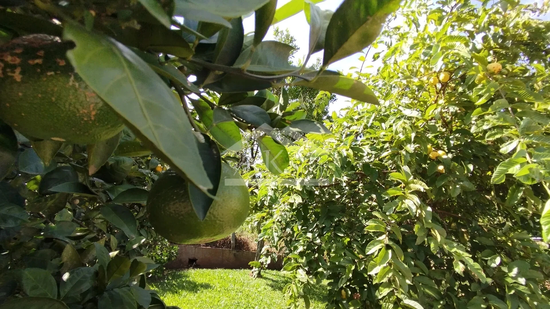 Imagens do imóveis Casa arborizada com vista panorâmica à venda em Dois Irmãos, RS