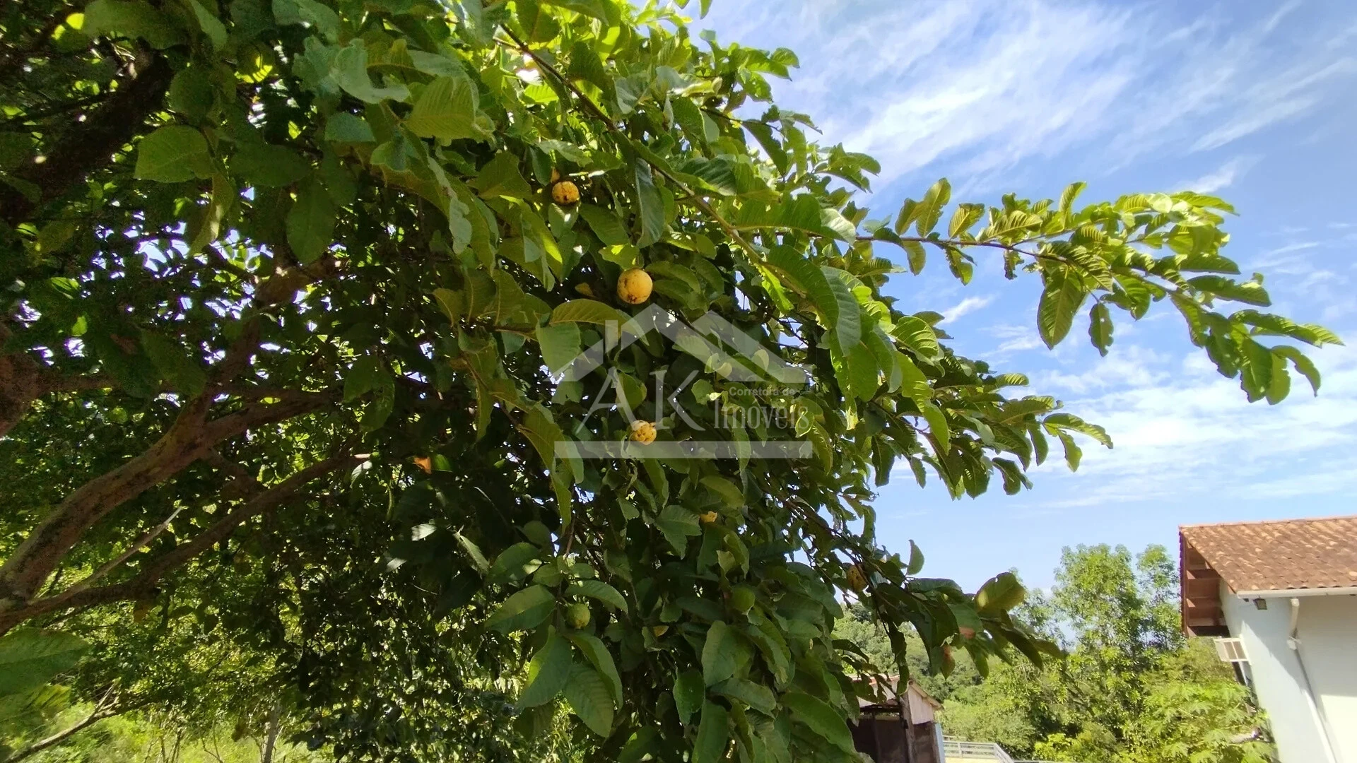 Imagens do imóveis Casa arborizada com vista panorâmica à venda em Dois Irmãos, RS