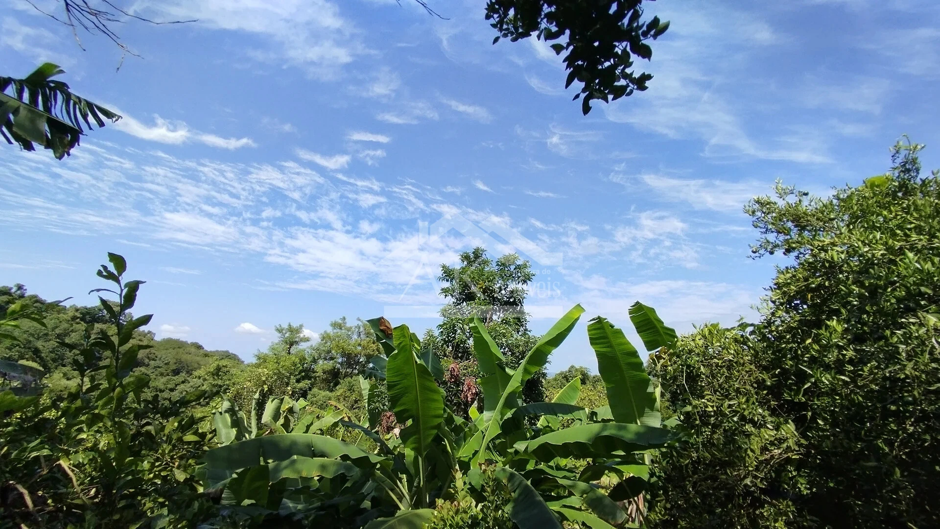 Imagens do imóveis Casa arborizada com vista panorâmica à venda em Dois Irmãos, RS