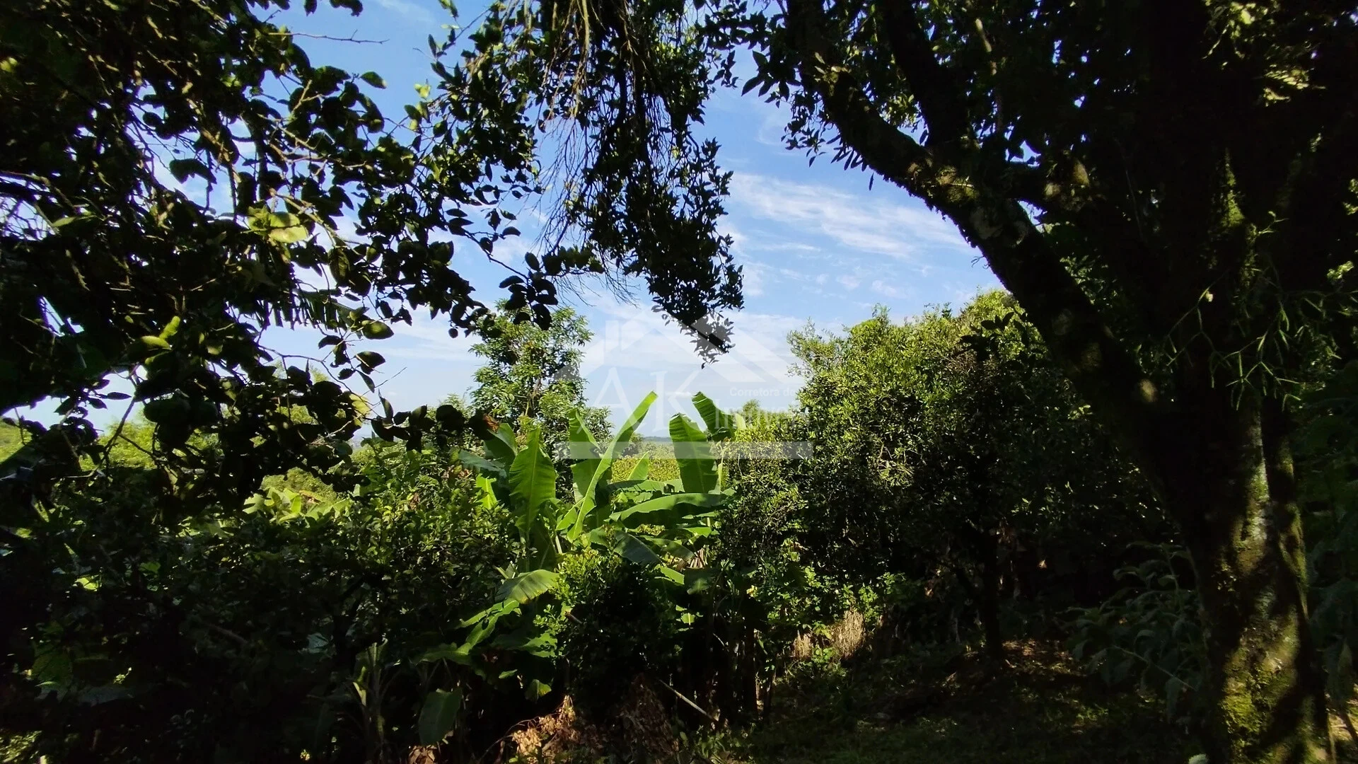 Imagens do imóveis Casa arborizada com vista panorâmica à venda em Dois Irmãos, RS