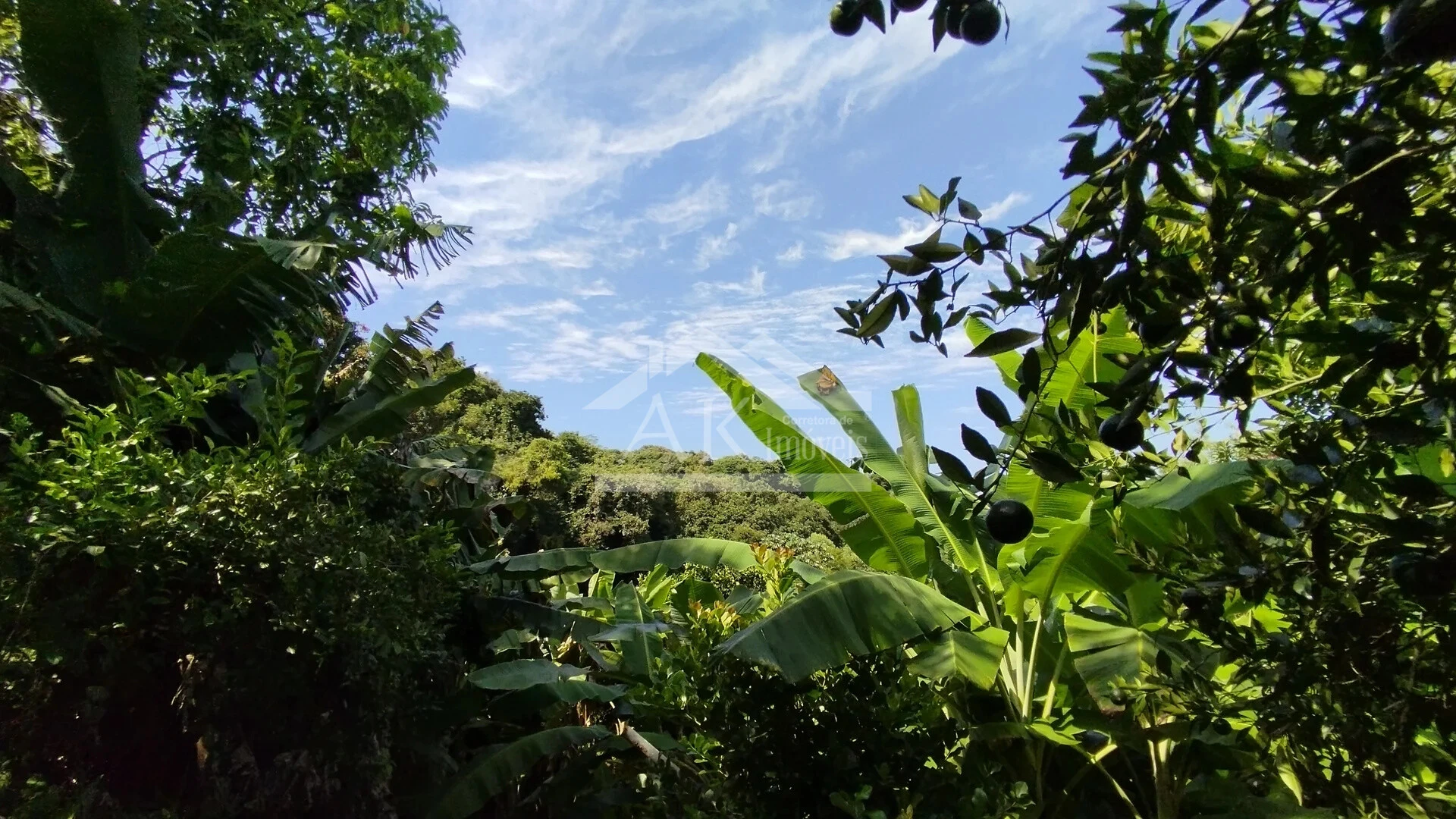 Imagens do imóveis Casa arborizada com vista panorâmica à venda em Dois Irmãos, RS