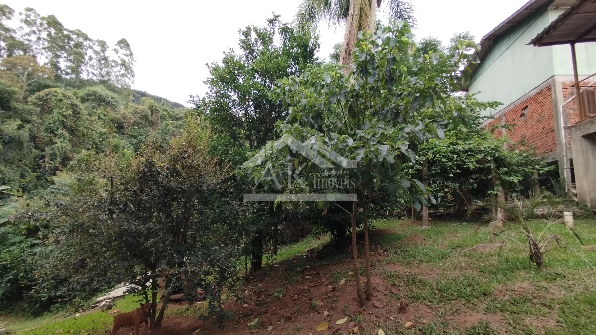 Casa à venda no bairro Esperança em Picada Café na Serra Gaúcha
