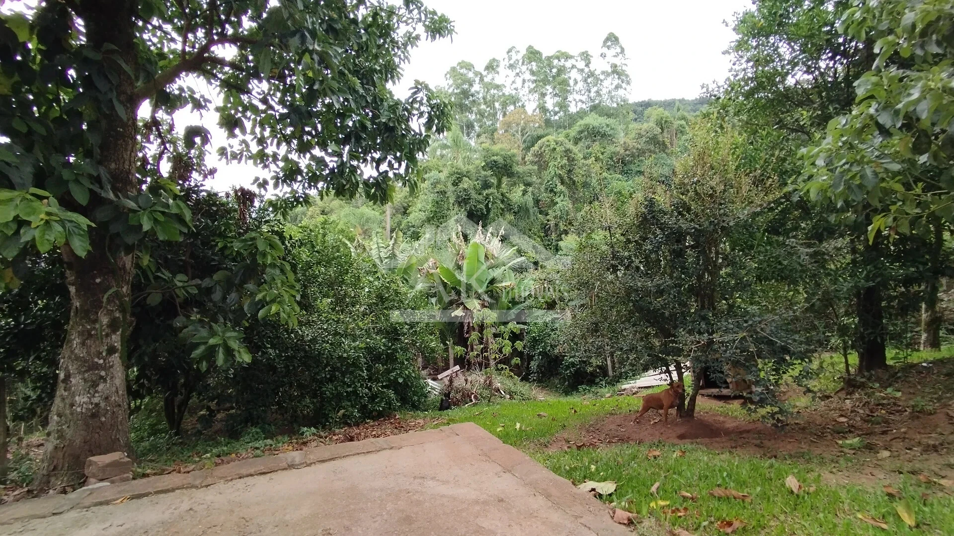 Casa à venda no bairro Esperança em Picada Café na Serra Gaúcha
