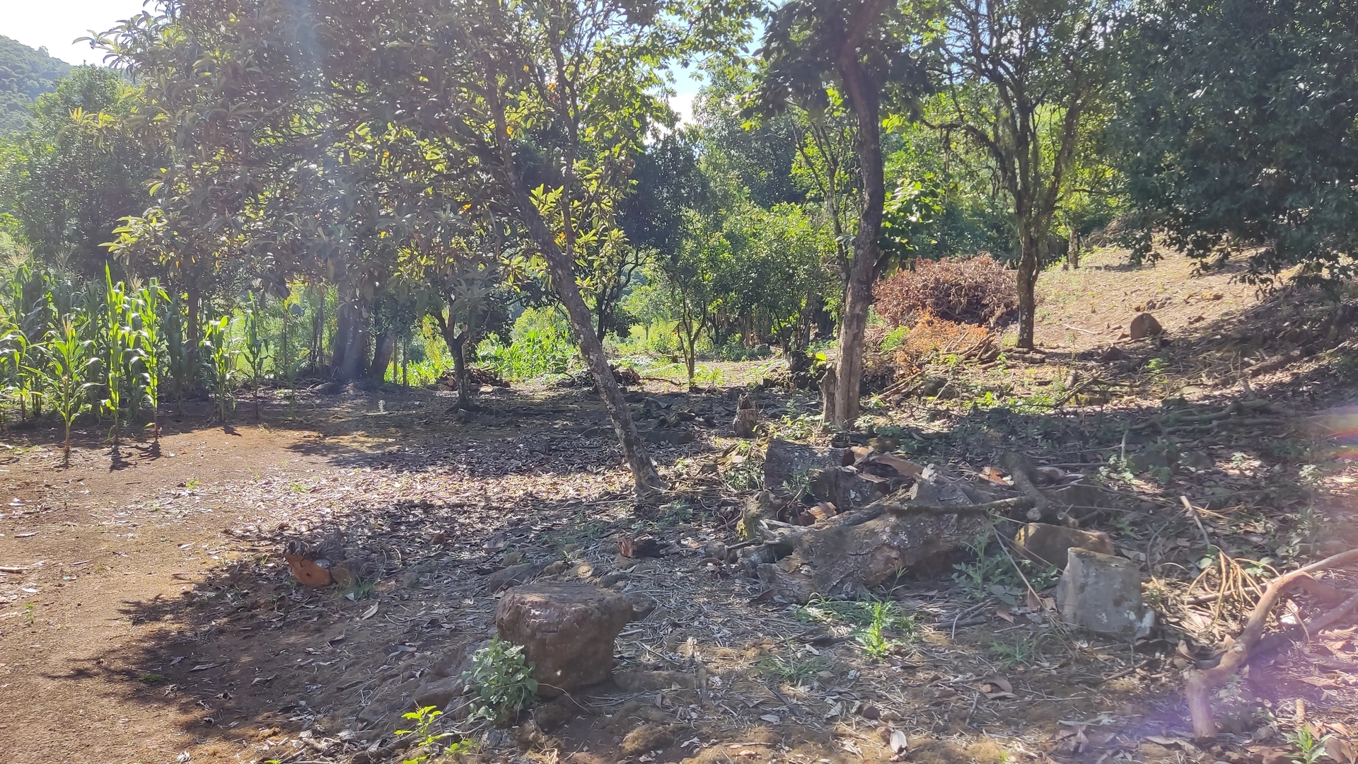 Sítio com piscina à venda em Picada Café na Serra Gaúcha