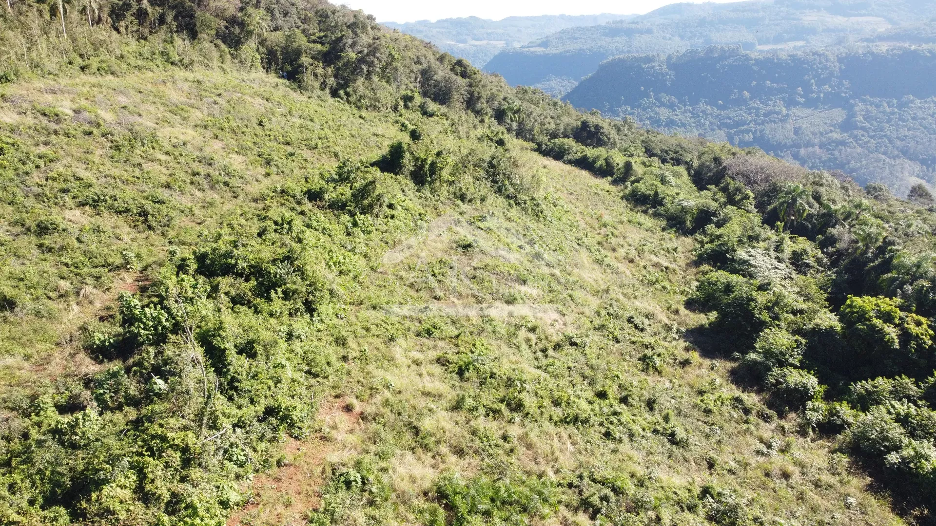 Área de terra com vista à venda em Picada Café na Serra Gaúcha