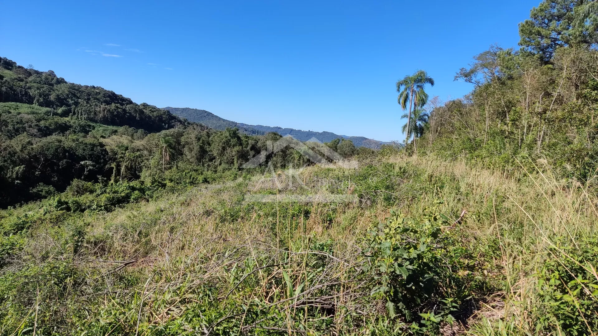 Área de terra com vista à venda em Picada Café na Serra Gaúcha