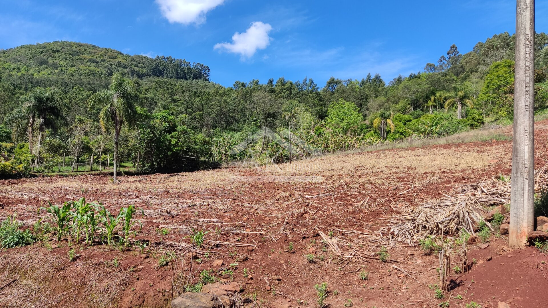 Área de terra com vista à venda no interior de Morro Reuter RS