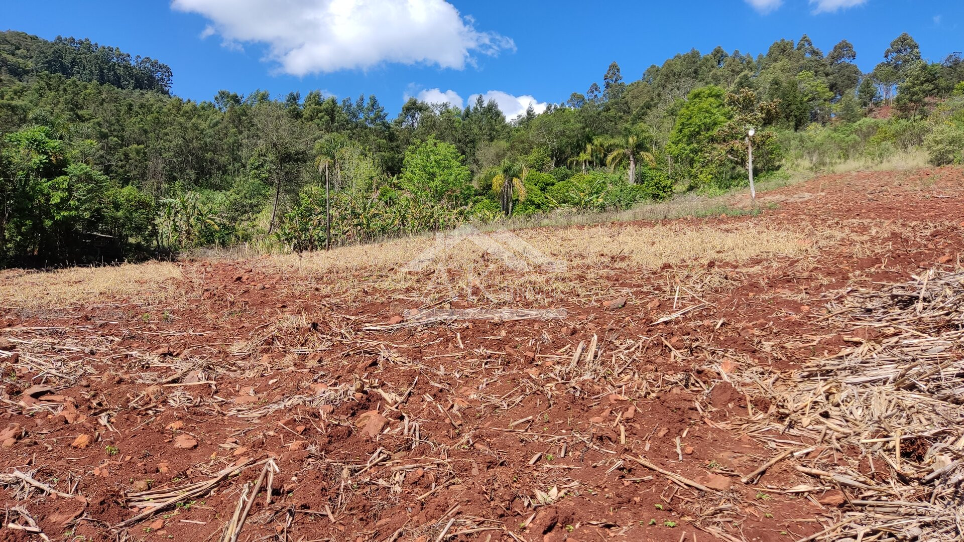 Área de terra com vista à venda no interior de Morro Reuter RS