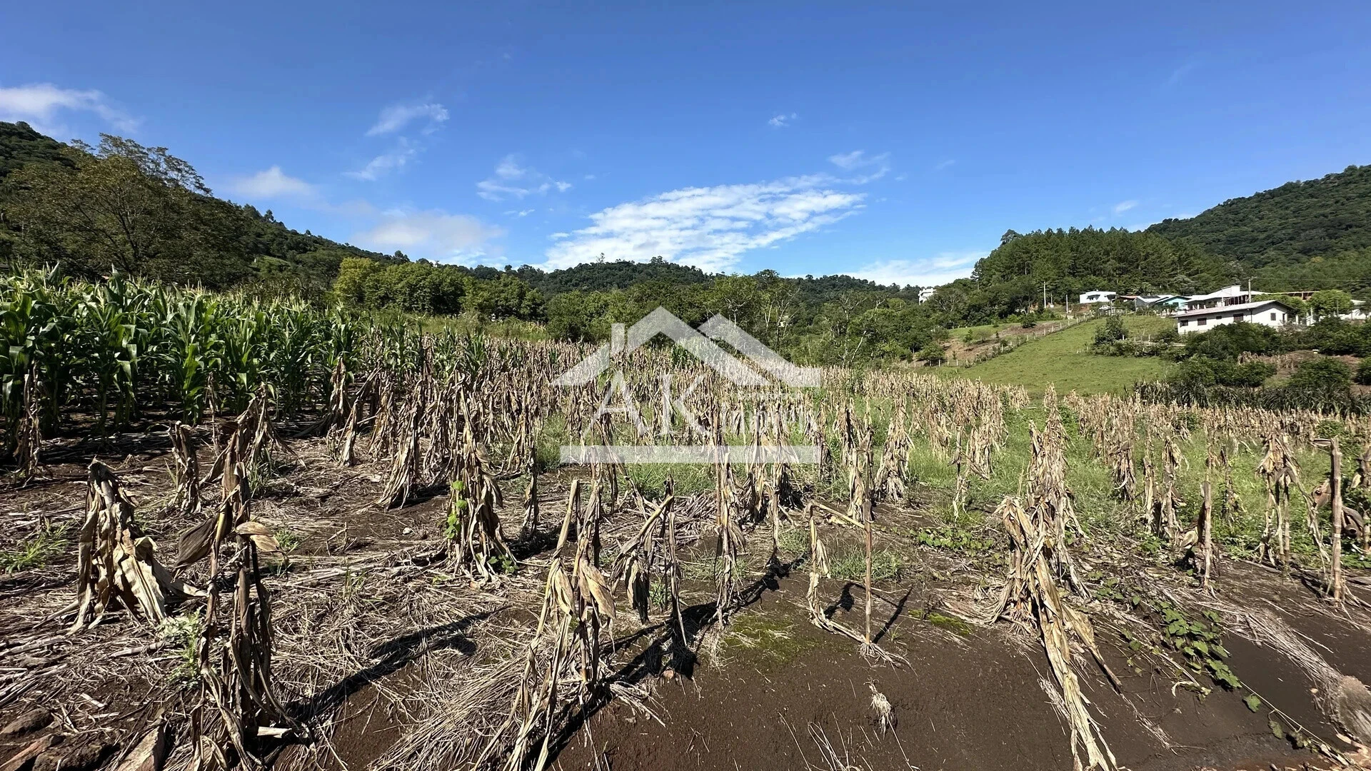 Área de terra à venda em Picada Café na Serra Gaúcha