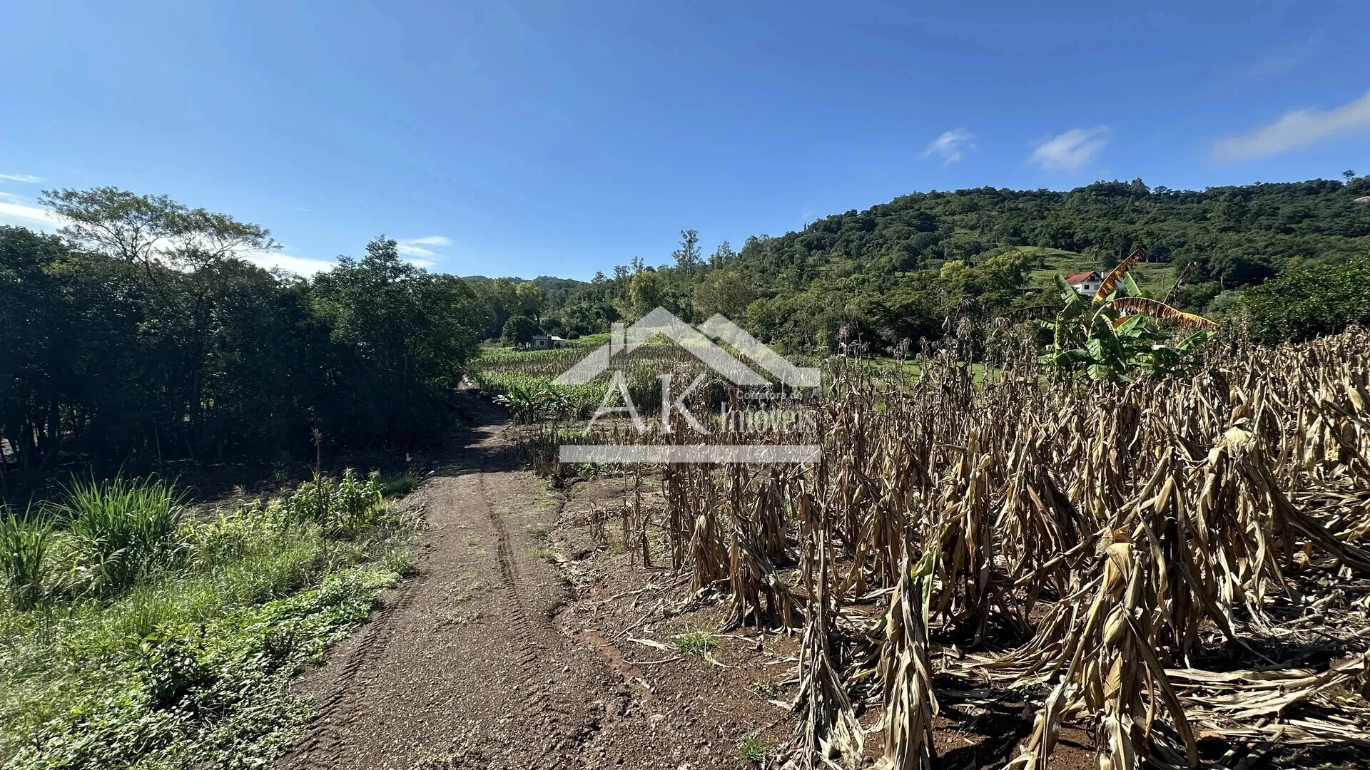 Área de terra à venda em Picada Café na Serra Gaúcha