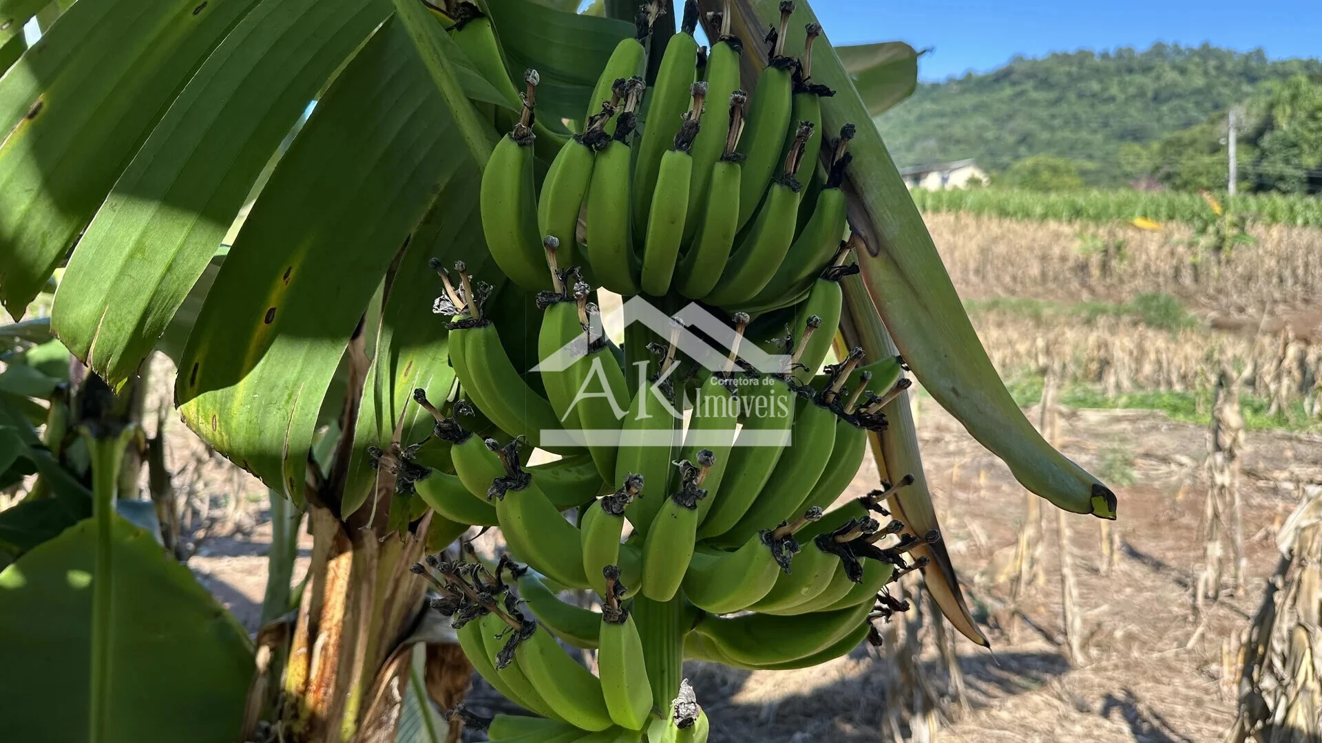 Área de terra à venda em Picada Café na Serra Gaúcha