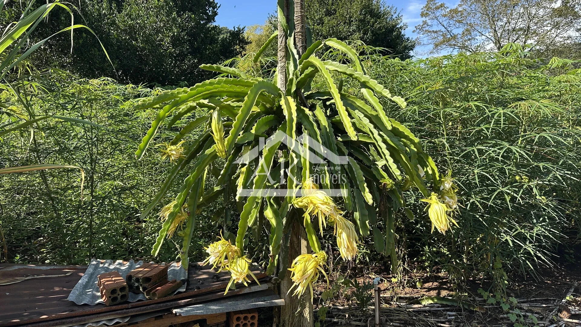 Área de terra à venda em Picada Café na Serra Gaúcha