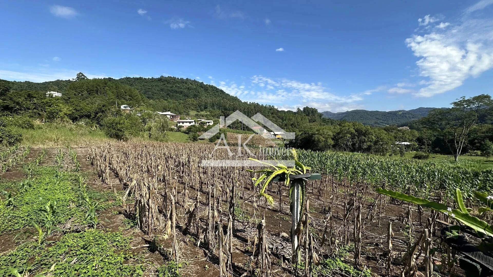 Área de terra à venda em Picada Café na Serra Gaúcha