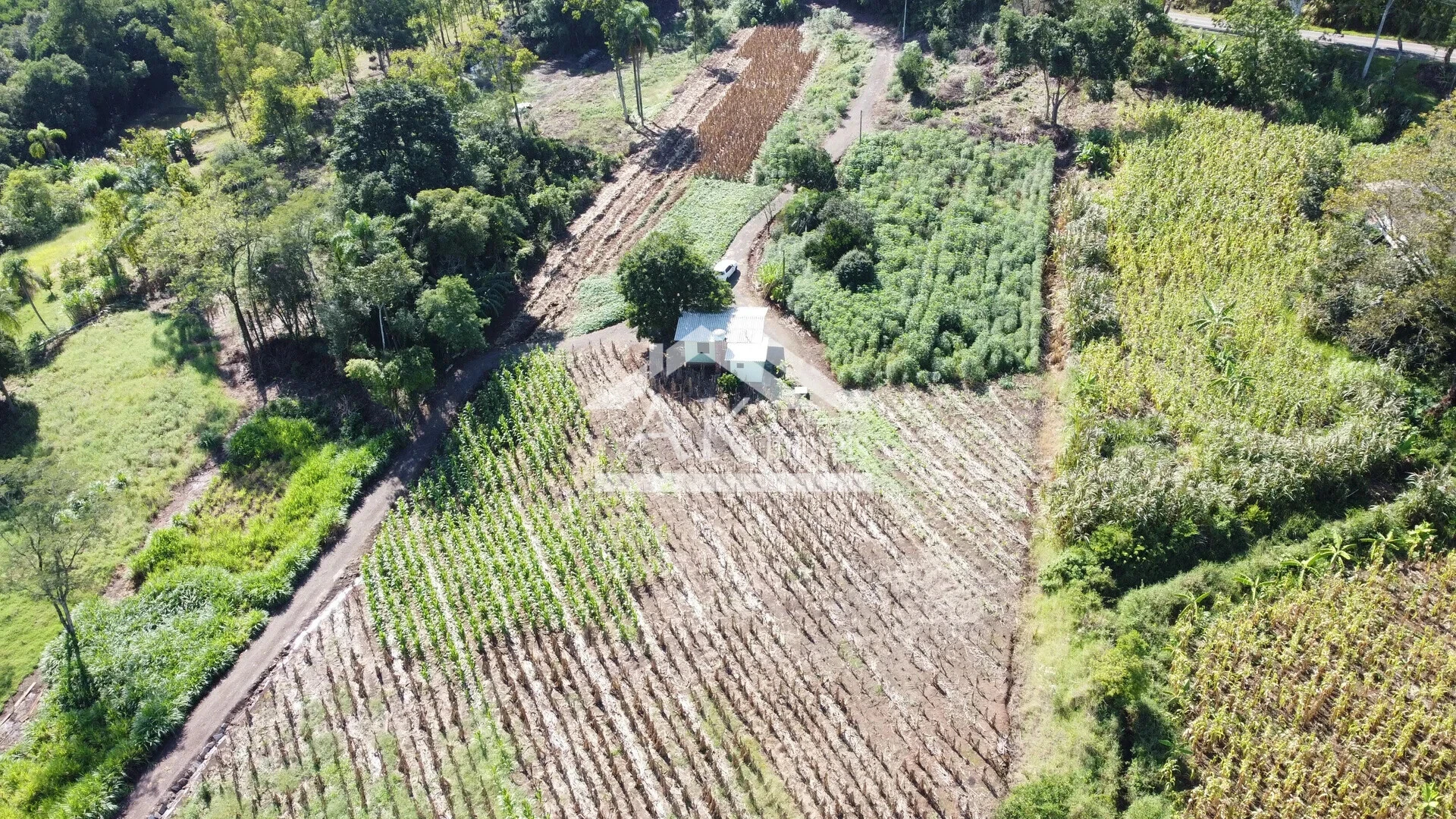 Área de terra à venda em Picada Café na Serra Gaúcha