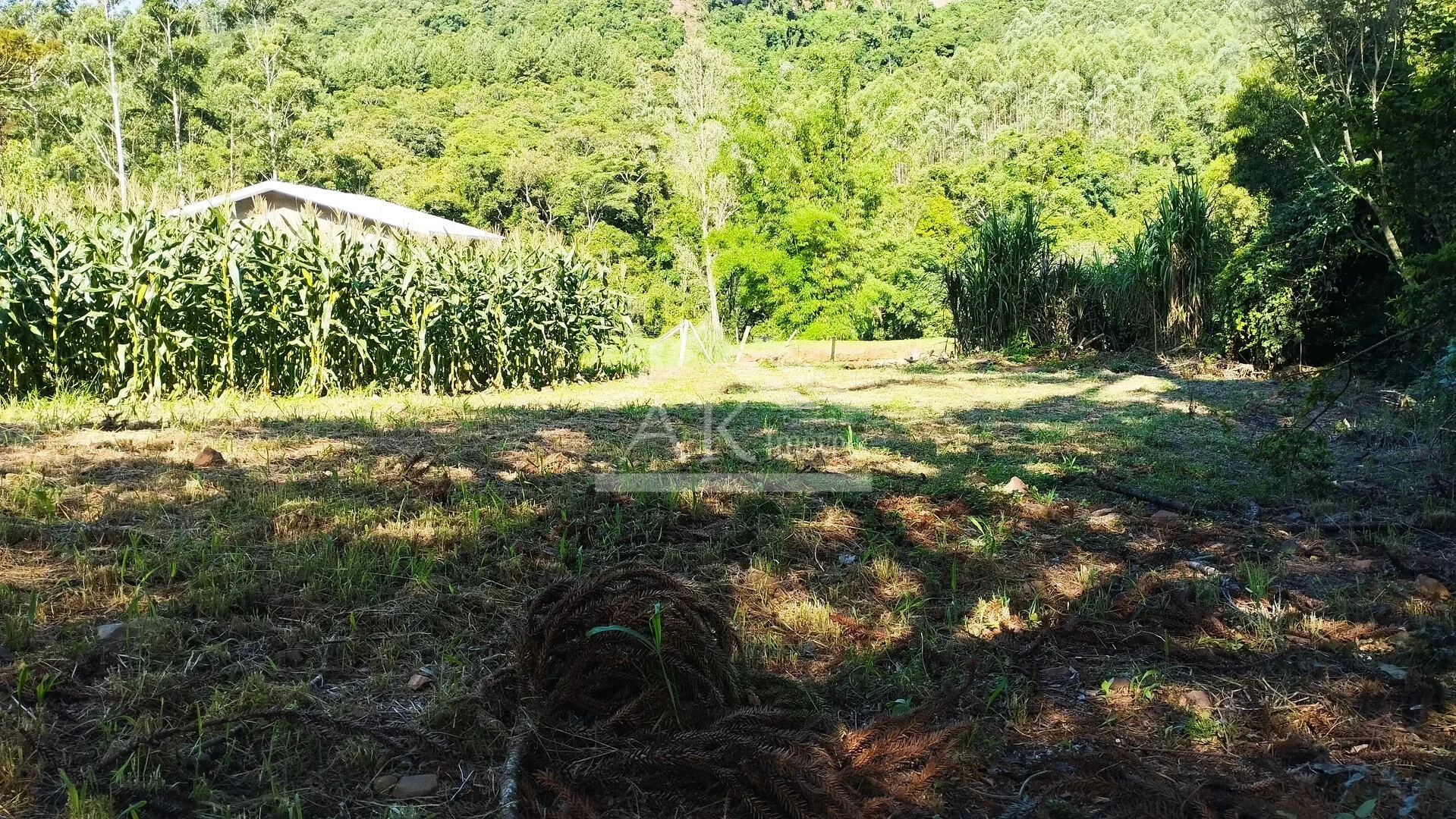 Terreno à Venda em Picada Café na Serra Gaúcha