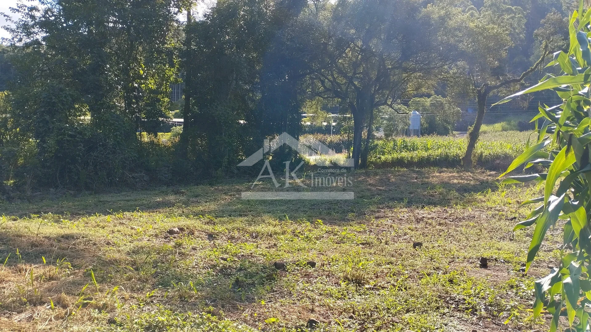 Terreno à Venda em Picada Café na Serra Gaúcha