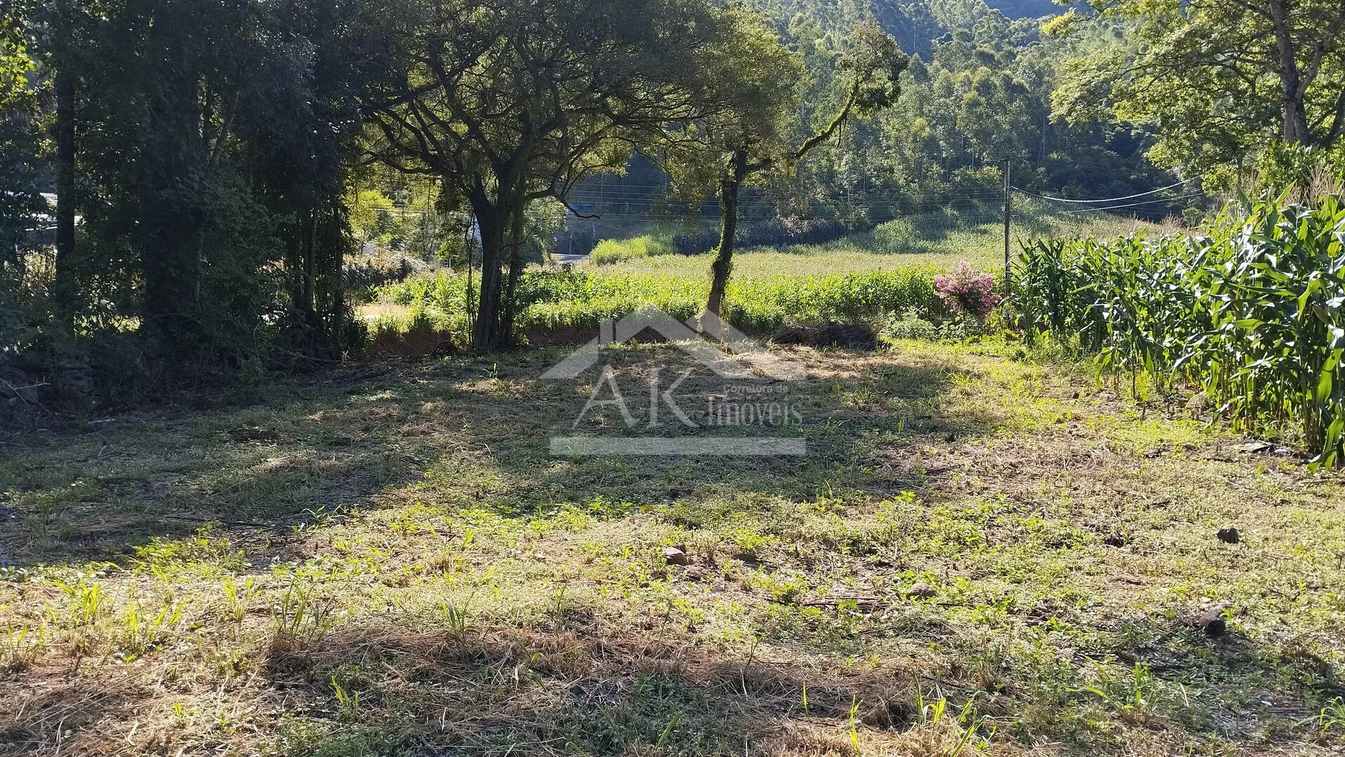 Terreno à Venda em Picada Café na Serra Gaúcha