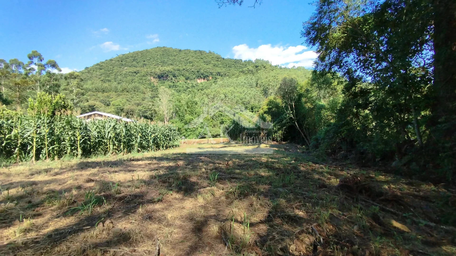 Terreno à Venda em Picada Café na Serra Gaúcha