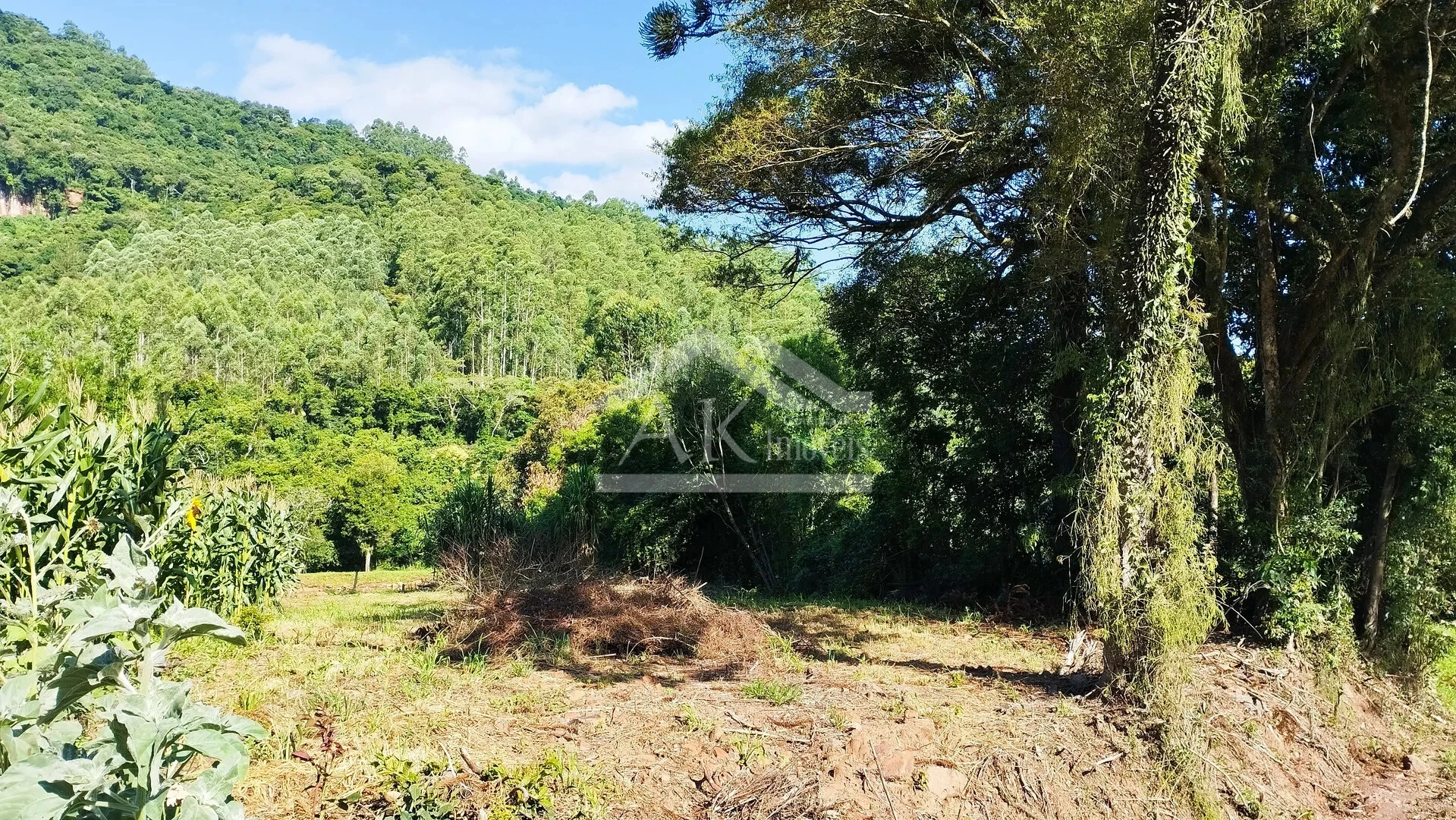 Terreno à Venda em Picada Café na Serra Gaúcha