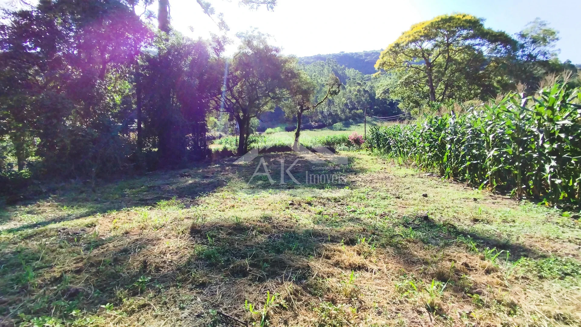 Terreno à Venda em Picada Café na Serra Gaúcha