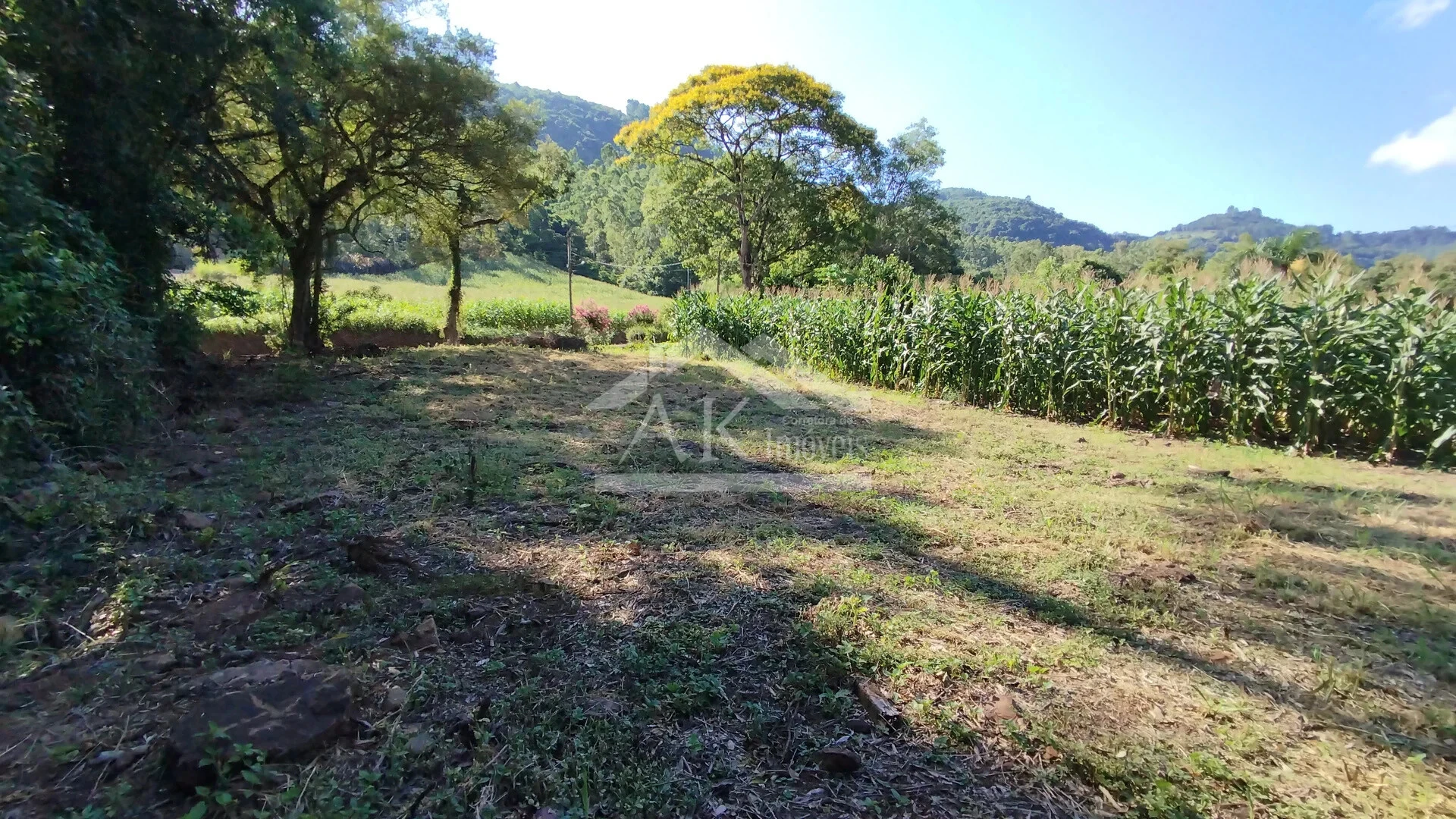 Terreno à Venda em Picada Café na Serra Gaúcha