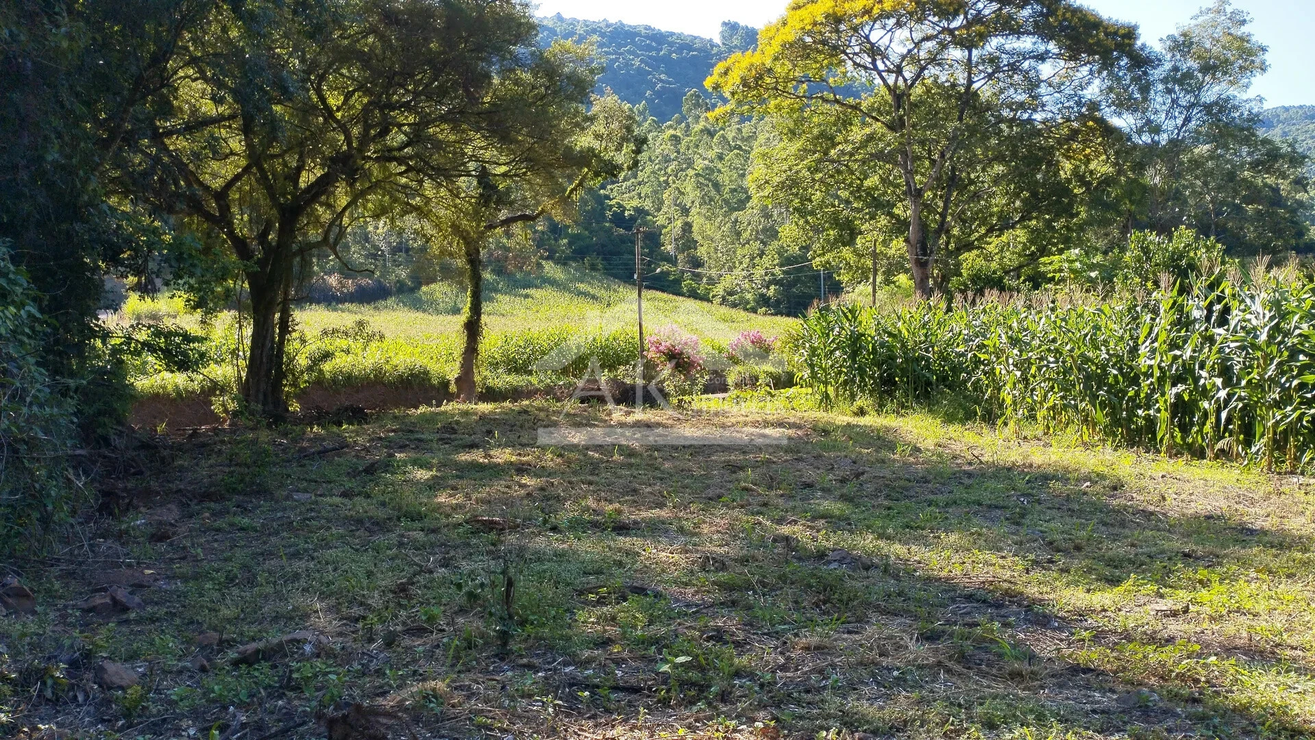 Terreno à Venda em Picada Café na Serra Gaúcha