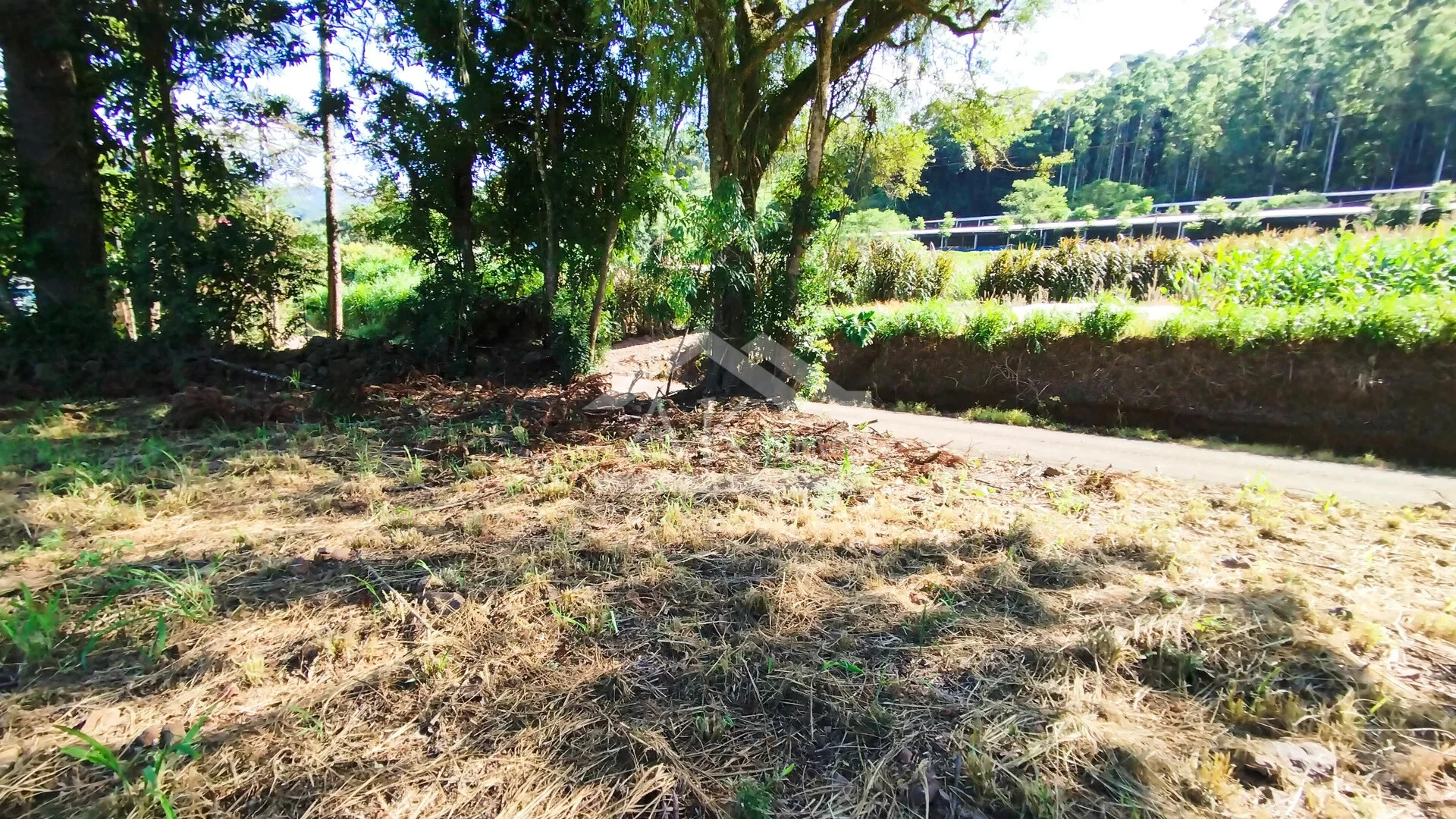 Terreno à Venda em Picada Café na Serra Gaúcha