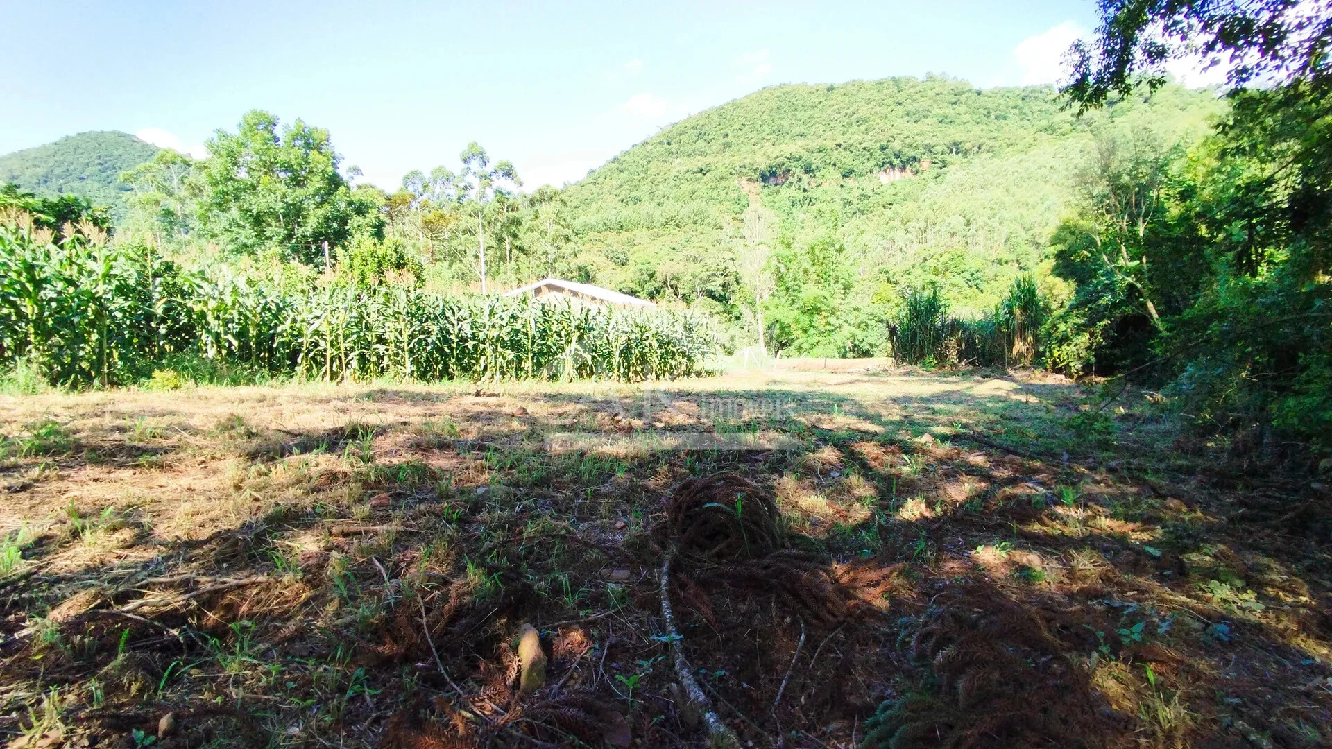 Terreno à Venda em Picada Café na Serra Gaúcha