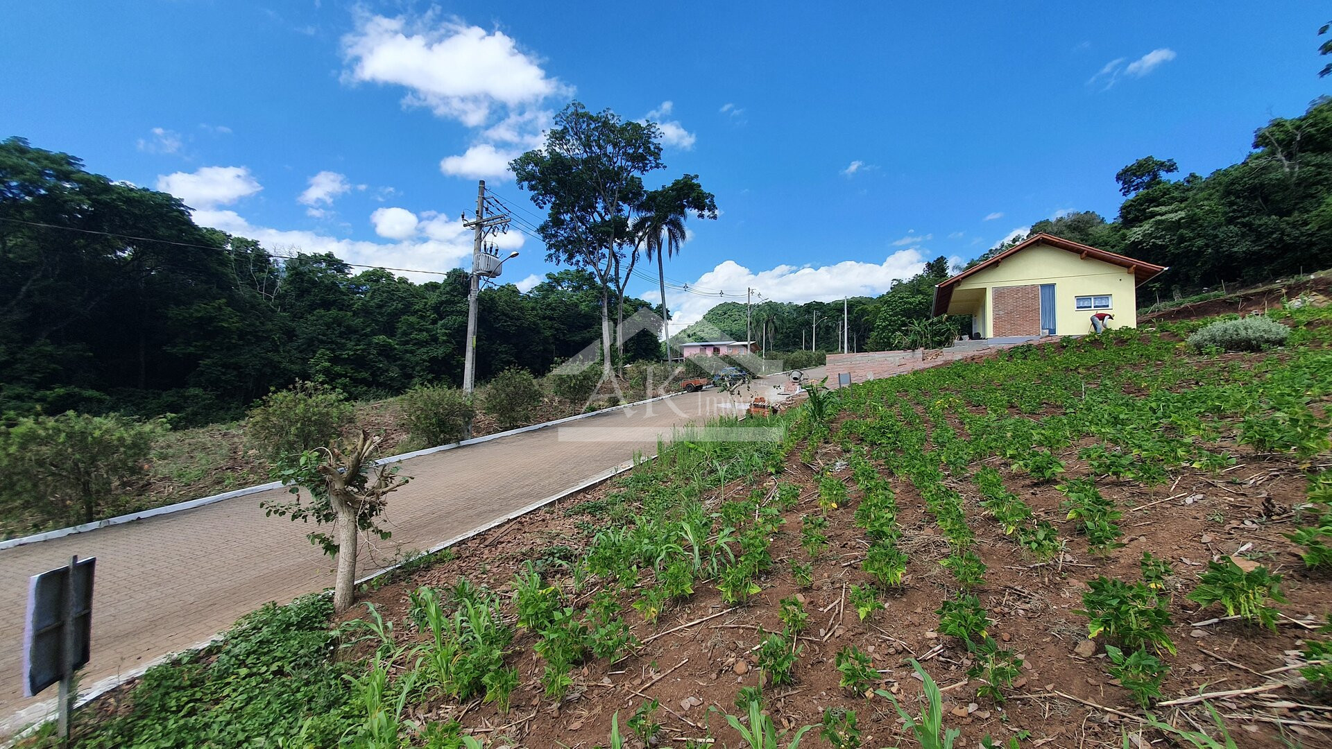 Terreno  á venda  em São João - Picada Café