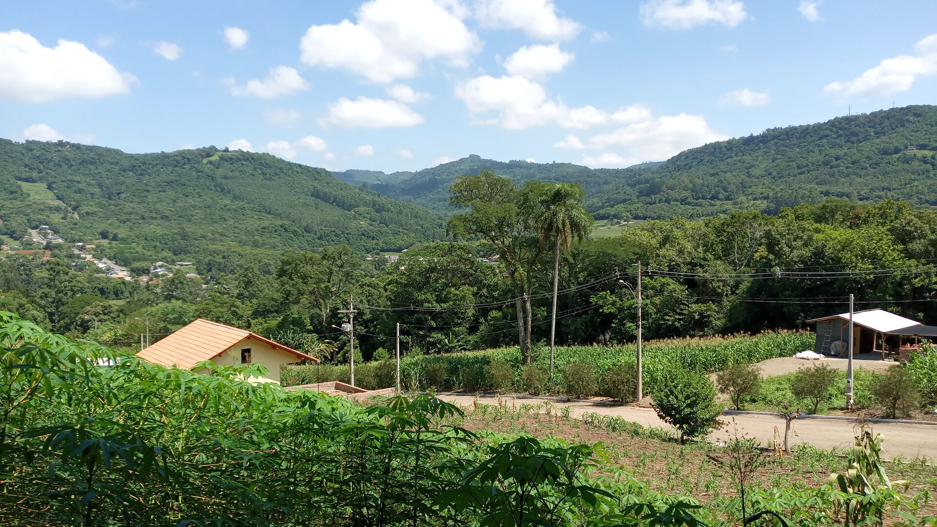 Terreno  á venda  em São João - Picada Café