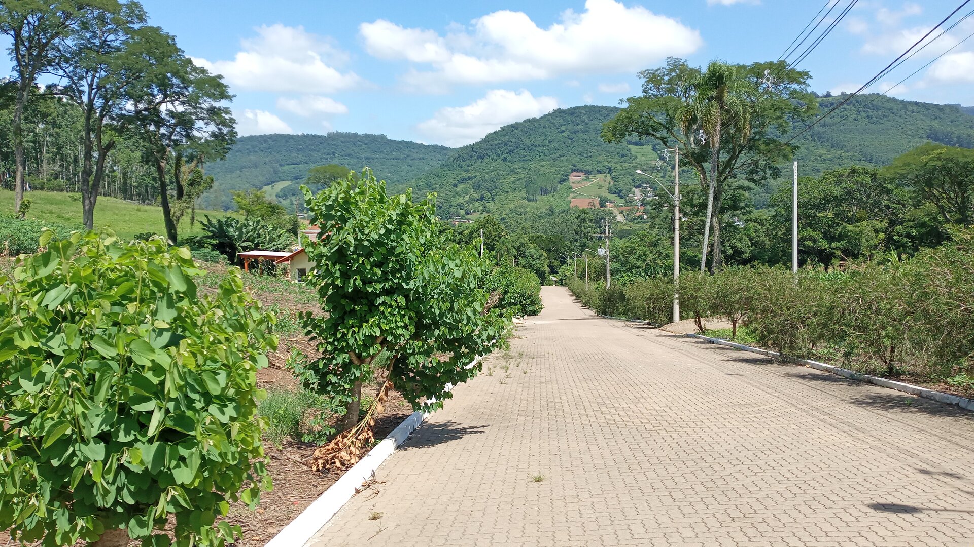 Terreno  á venda  em São João - Picada Café